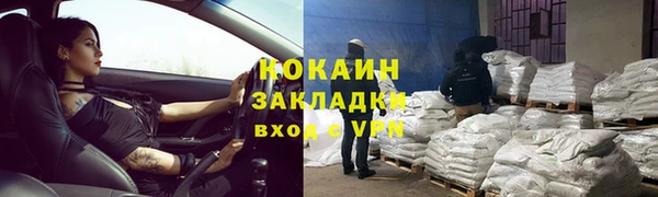 индика Алзамай