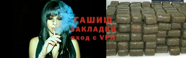 индика Алзамай