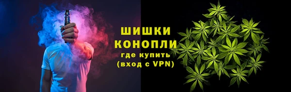 индика Алзамай