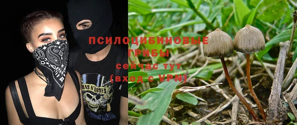 трава Алексеевка