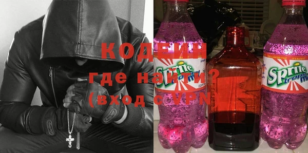 индика Алзамай