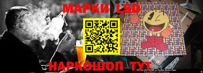 шишки Шелехов