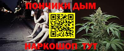 шишки Шелехов