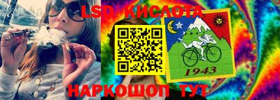 шишки Шелехов
