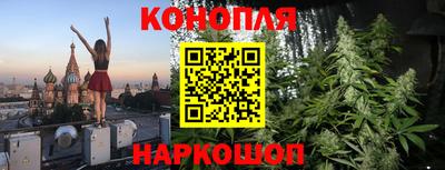 трава Шебекино
