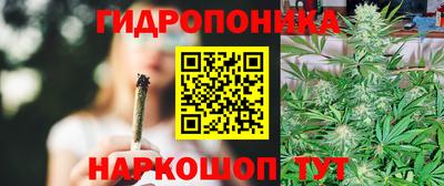 мяу мяу мука Шахты