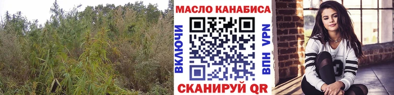 ТГК Wax  цены   Павлово 