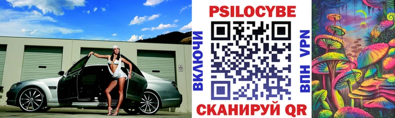 Псилоцибиновые грибы MAGIC MUSHROOMS  где можно купить   Павлово 